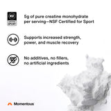 Momentous Creatine Powder 448g side view with scoop