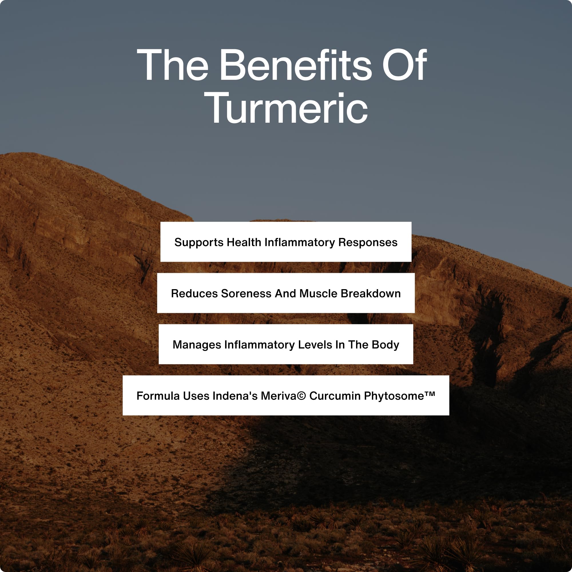 Momentous Turmeric Curcumin Supplement bottle with label