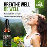 Mood Mingle Mullein Leaf Extract packaging side view