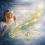 Moon Laboratory NAD+ Support Supplement displayed with lifestyle setting