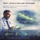 Moon Laboratory NAD+ Support Supplement with black pepper extract