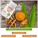 Moon + Mercury Turmeric Curcumin Capsules 500mg bottle with label