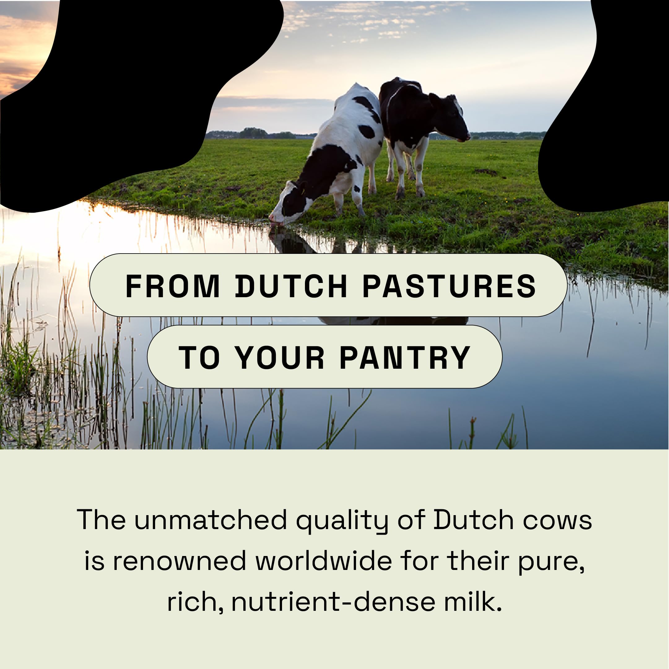 MOOVE Colostrum Supplement capsules close-up