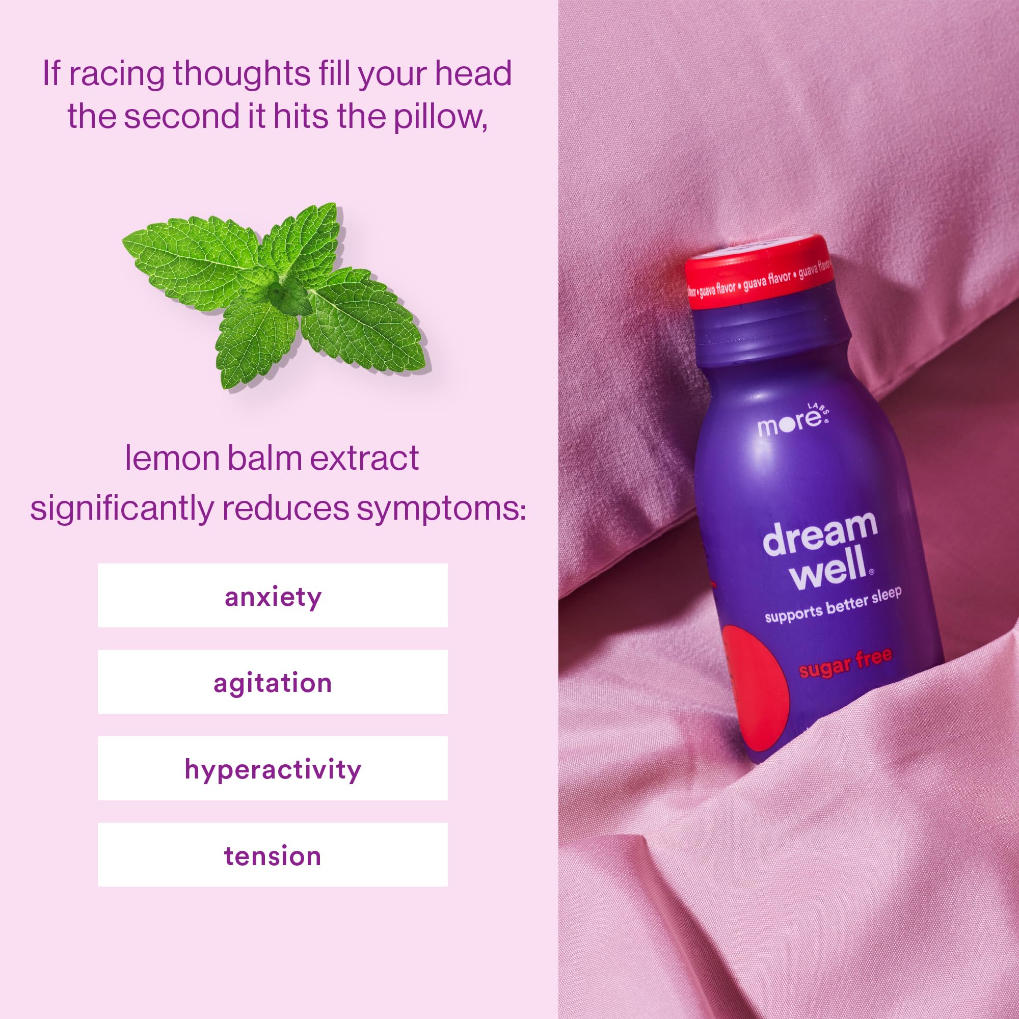 More Labs Dream Well 5MG Melatonin Sleep Drink with ingredients