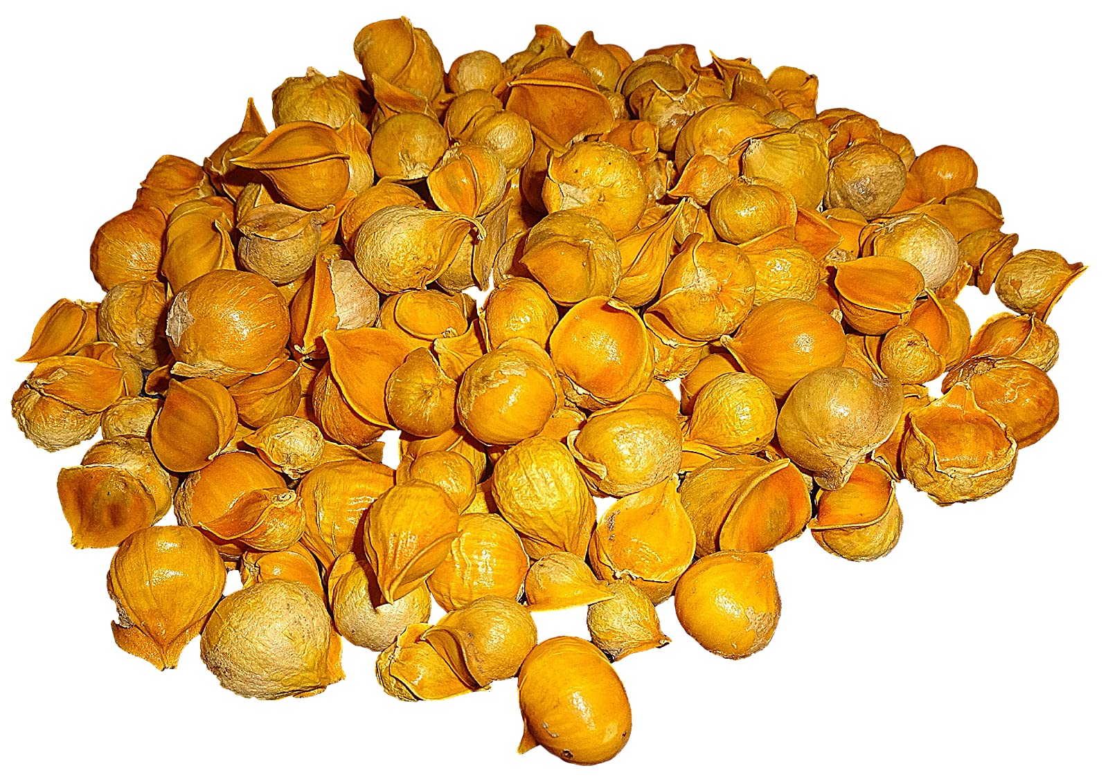 Morel Garlic Culinary Ingredient 259g packaging