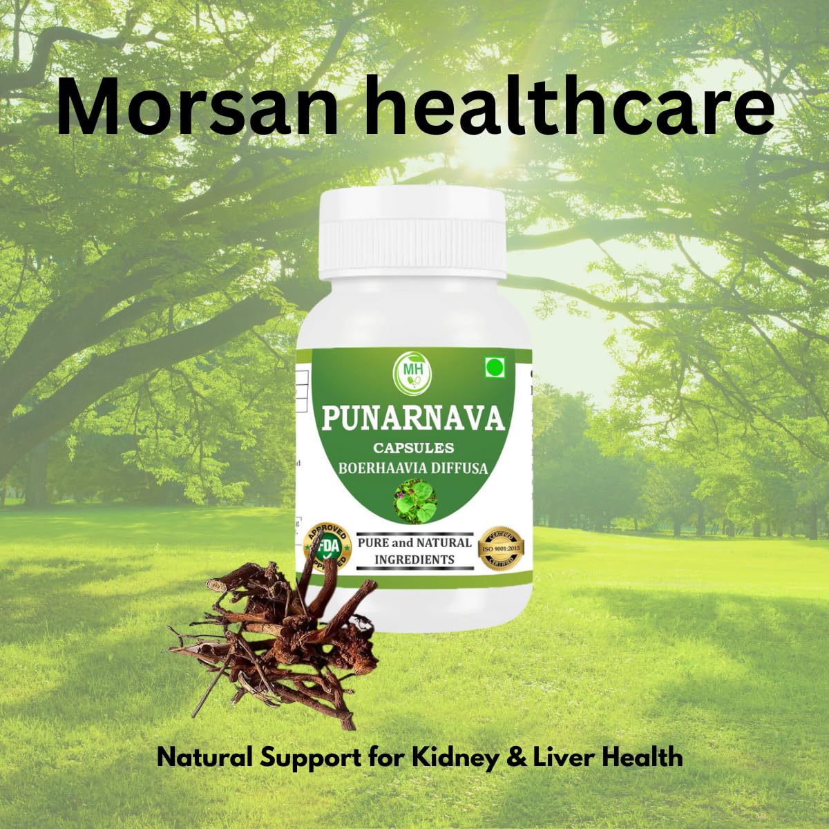 Morsan Healthcare Punarnava 50g capsule close-up