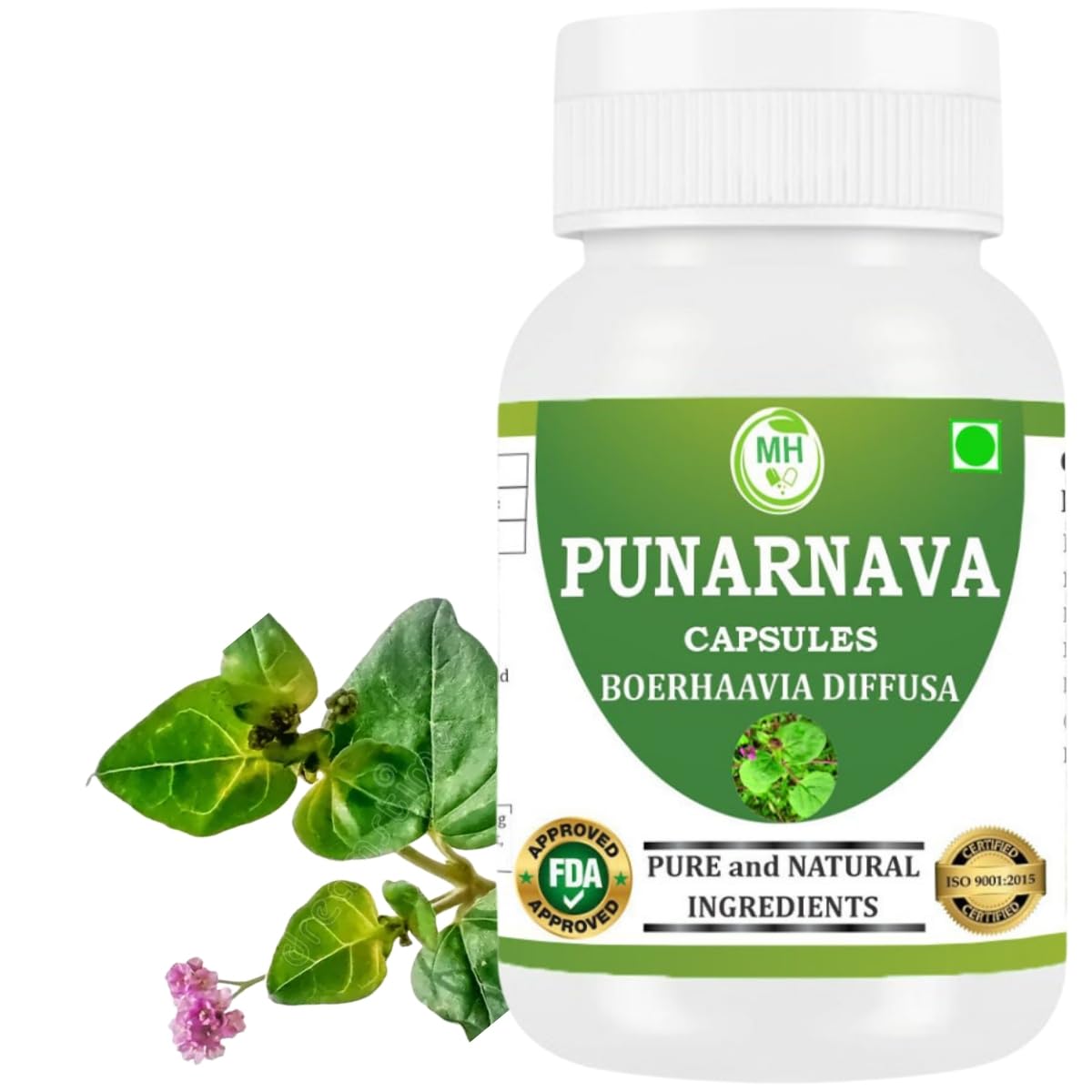 Morsan Healthcare Punarnava 50g herbal supplement front view