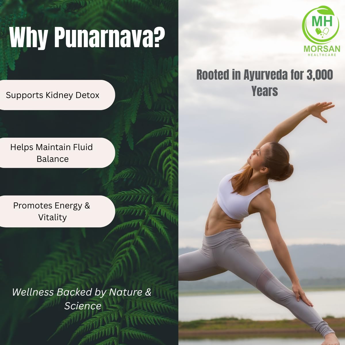 Morsan Healthcare Punarnava 50g ingredients list