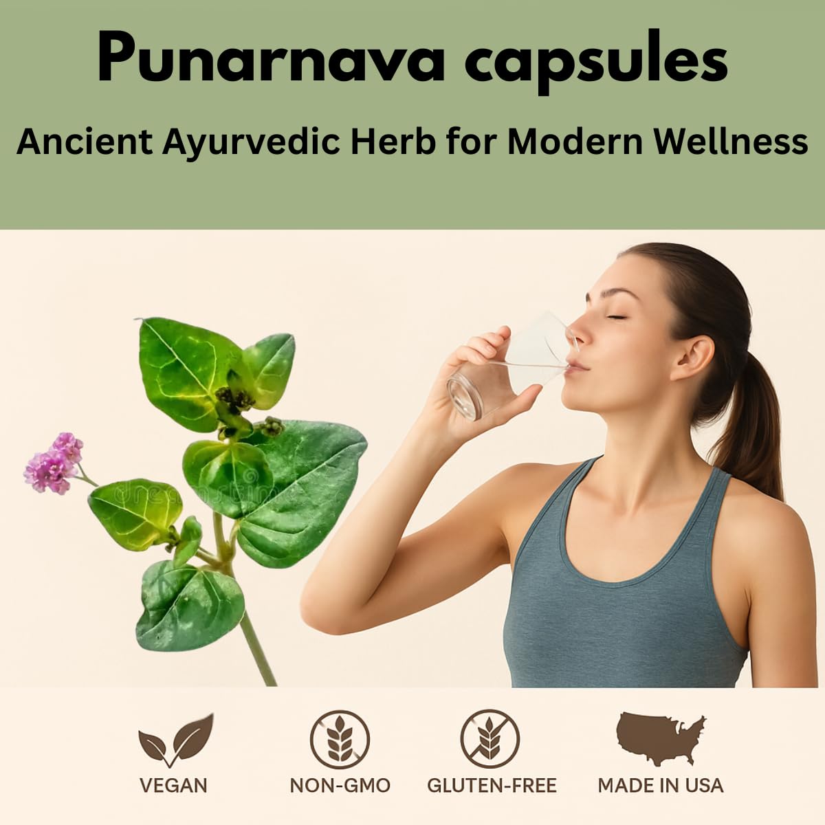 Morsan Healthcare Punarnava 50g packaging side view
