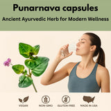 Morsan Healthcare Punarnava 50g packaging side view