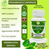Morsan Healthcare Punarnava 50g product dimensions