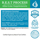 Morter HealthSystem AlkaGreen Tablets close-up of organic barley grass