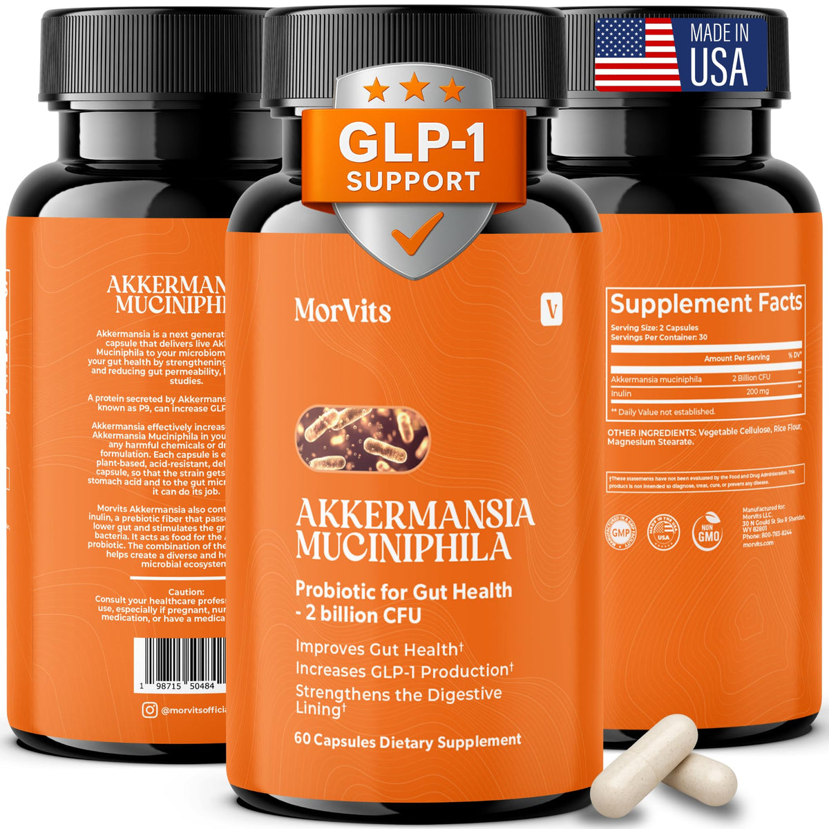 Morvits Akkermansia Probiotic Capsules front view with packaging