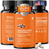 Morvits Akkermansia Probiotic Capsules front view with packaging