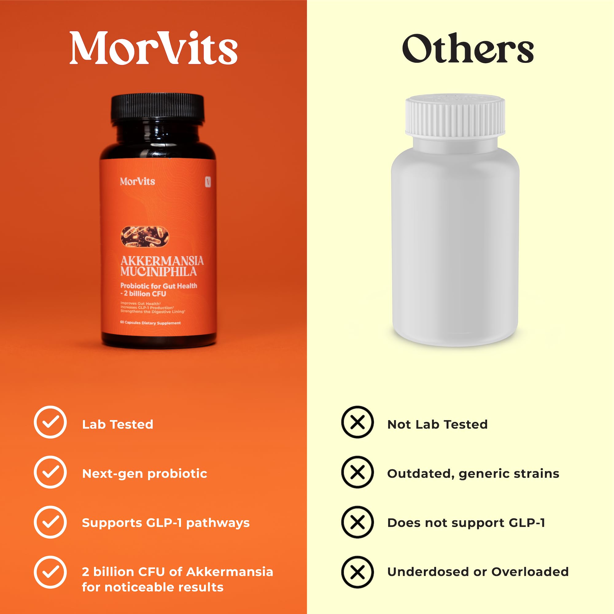 Morvits Akkermansia Probiotic Capsules lifestyle scene on a kitchen counter