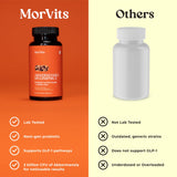 Morvits Akkermansia Probiotic Capsules lifestyle scene on a kitchen counter