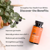 Morvits Akkermansia Probiotic Capsules side view