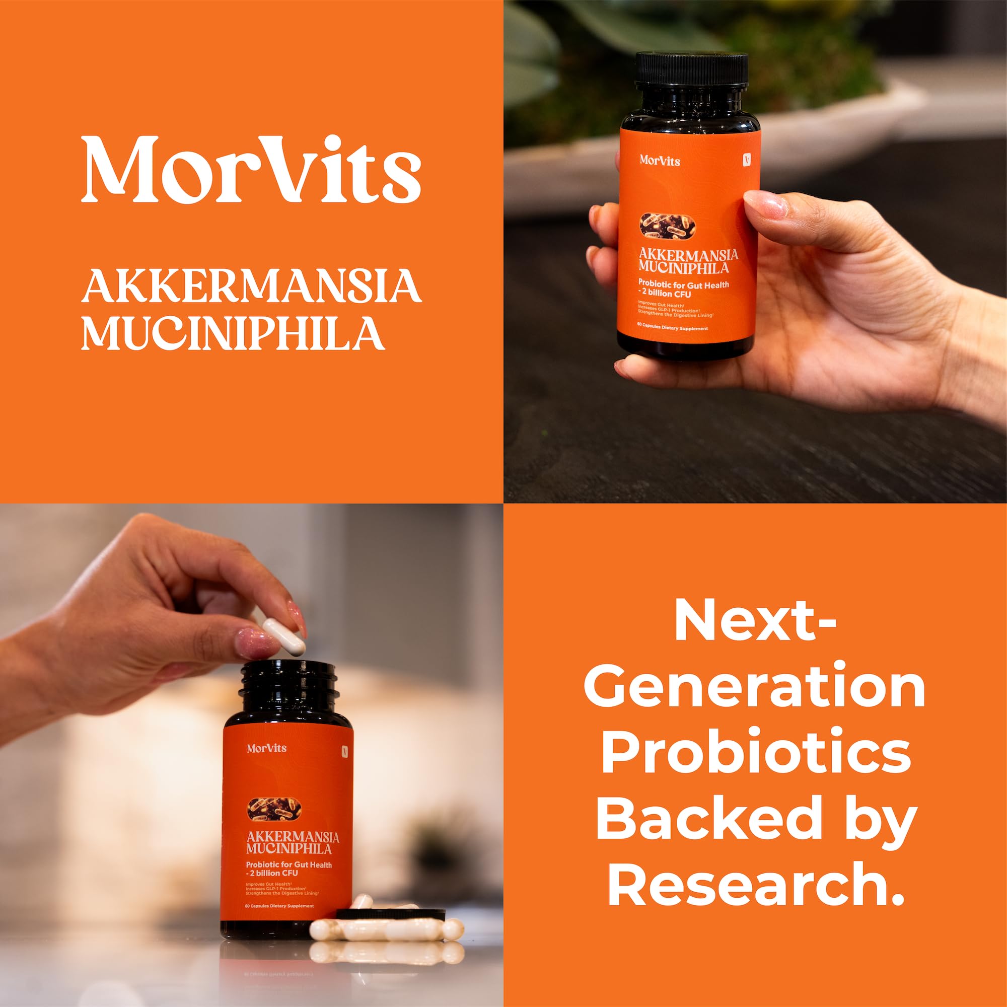 Morvits Akkermansia Probiotic Capsules with a glass of water