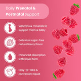 Mother's Promise Prenatal Vitamins Liquid 1021g bottle with label