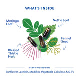 Motherlove More Milk Moringa ingredients list