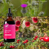 Mountain Meadow Herbs Black Cohosh Liquid Extract ingredients list
