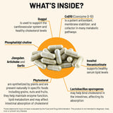 Mountain Peak Nutritionals Cholesterol Support Supplement nutrition facts