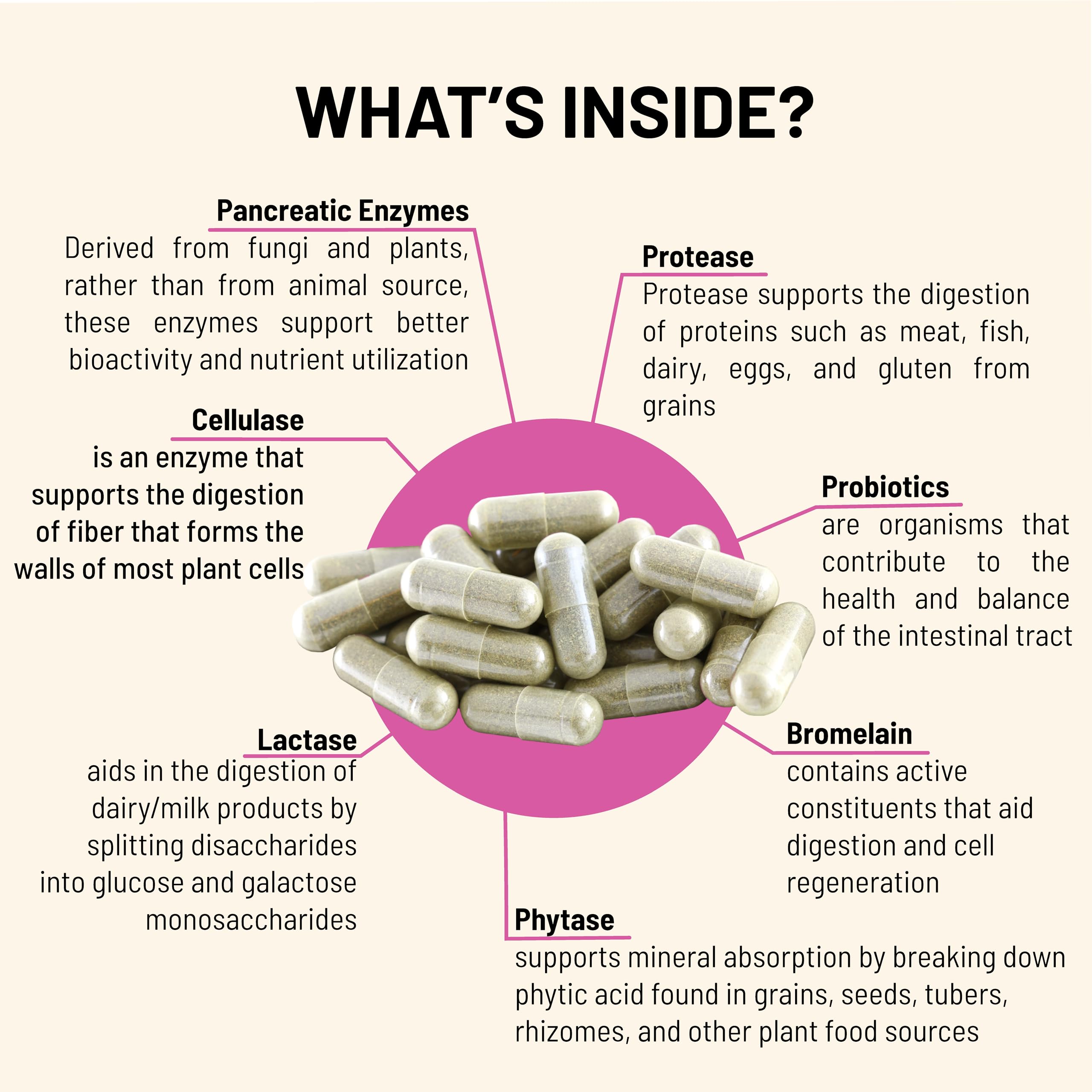 Mountain Peak Nutritionals Multi-Enzymes 82g capsule close-up