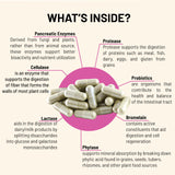 Mountain Peak Nutritionals Multi-Enzymes 82g capsule close-up