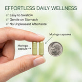 MPRAYAN Moringa Capsules 800mg lifestyle scene