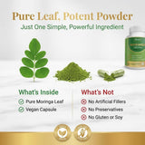 MPRAYAN Moringa Capsules 800mg with green leaves background