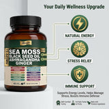 MPRAYAN Sea Moss Capsules back view with ingredient list