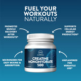 MRM Creatine Monohydrate Powder 150g in a scoop