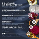 Mt. Angel Vitamins NAD+ Support Supplement capsules on a table