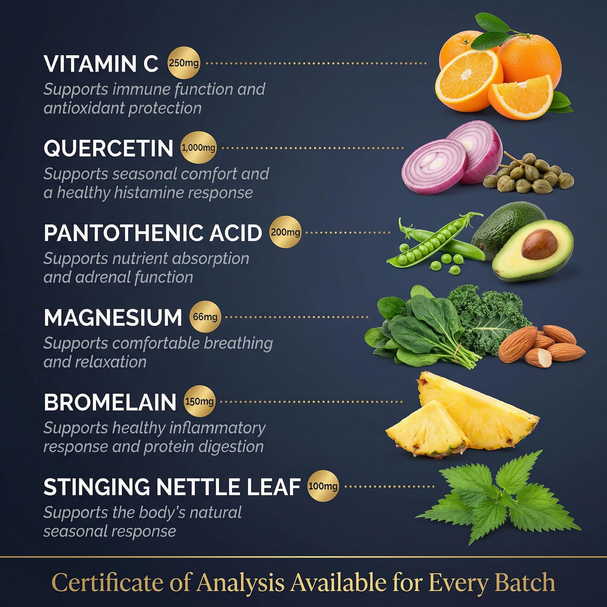 Mt. Angel Vitamins Nettle Capsules back view with ingredient list