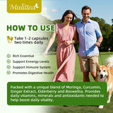 Mulittea Organic Moringa Capsules displayed with natural herbs