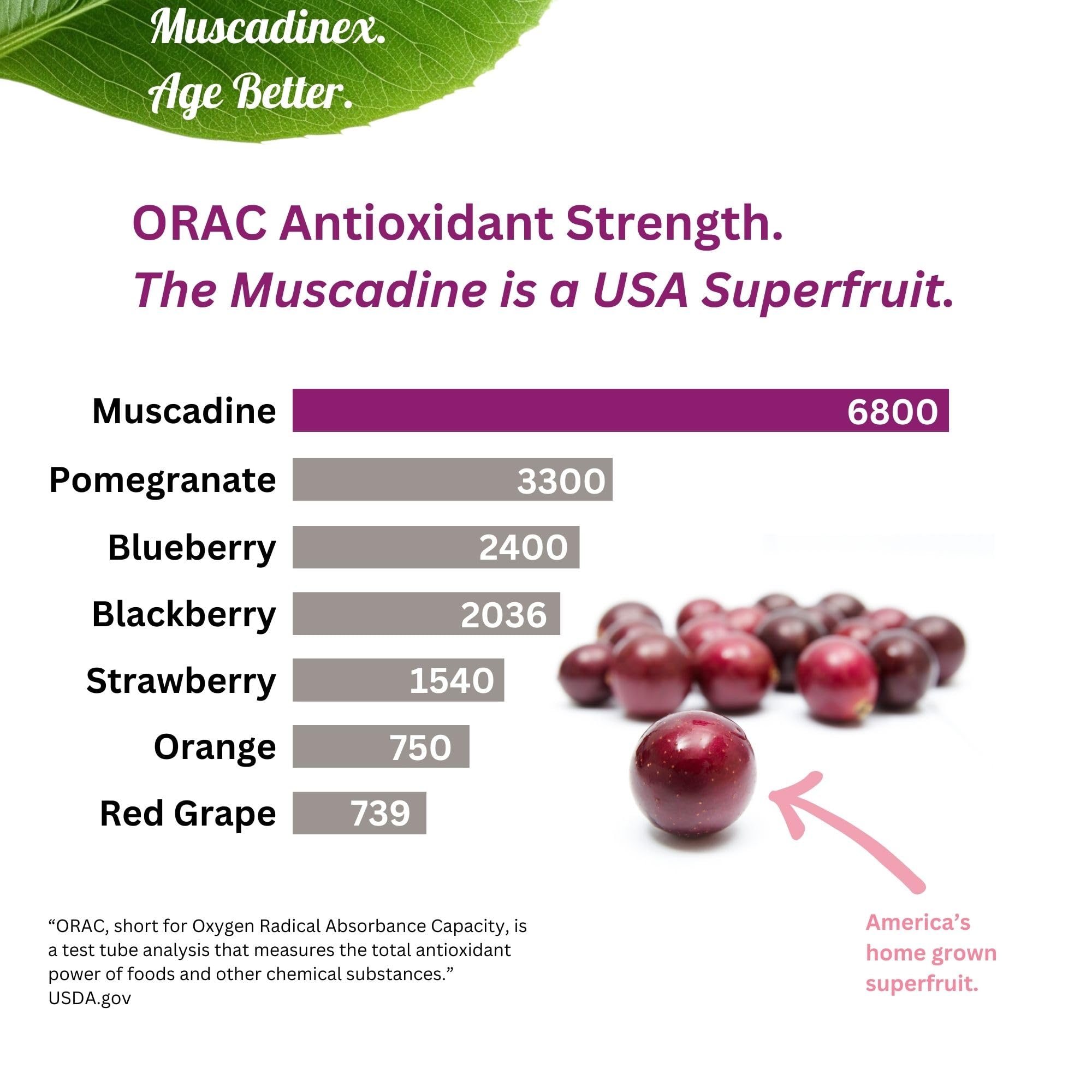 MUSCADINEX Resveratrol Supplement 650mg capsule close-up