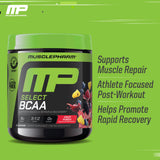 Muscle Pharm BCAA Powder Fruit Punch scoop