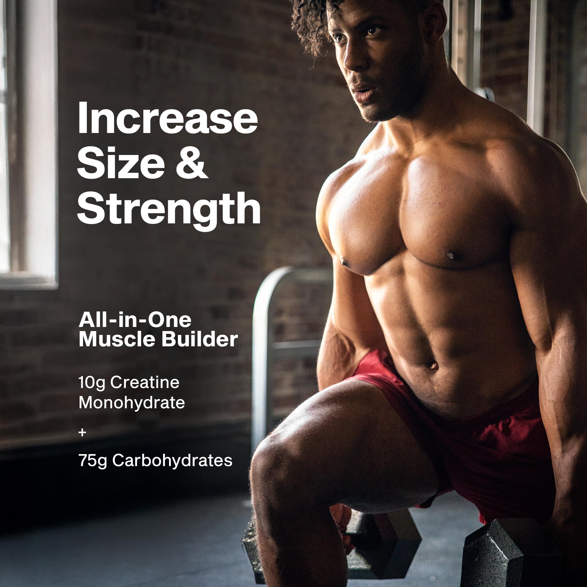 MuscleTech Cell-Tech Creatine Powder Tropical Citrus Punch packaging