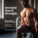MuscleTech Cell-Tech Creatine Powder Tropical Citrus Punch packaging