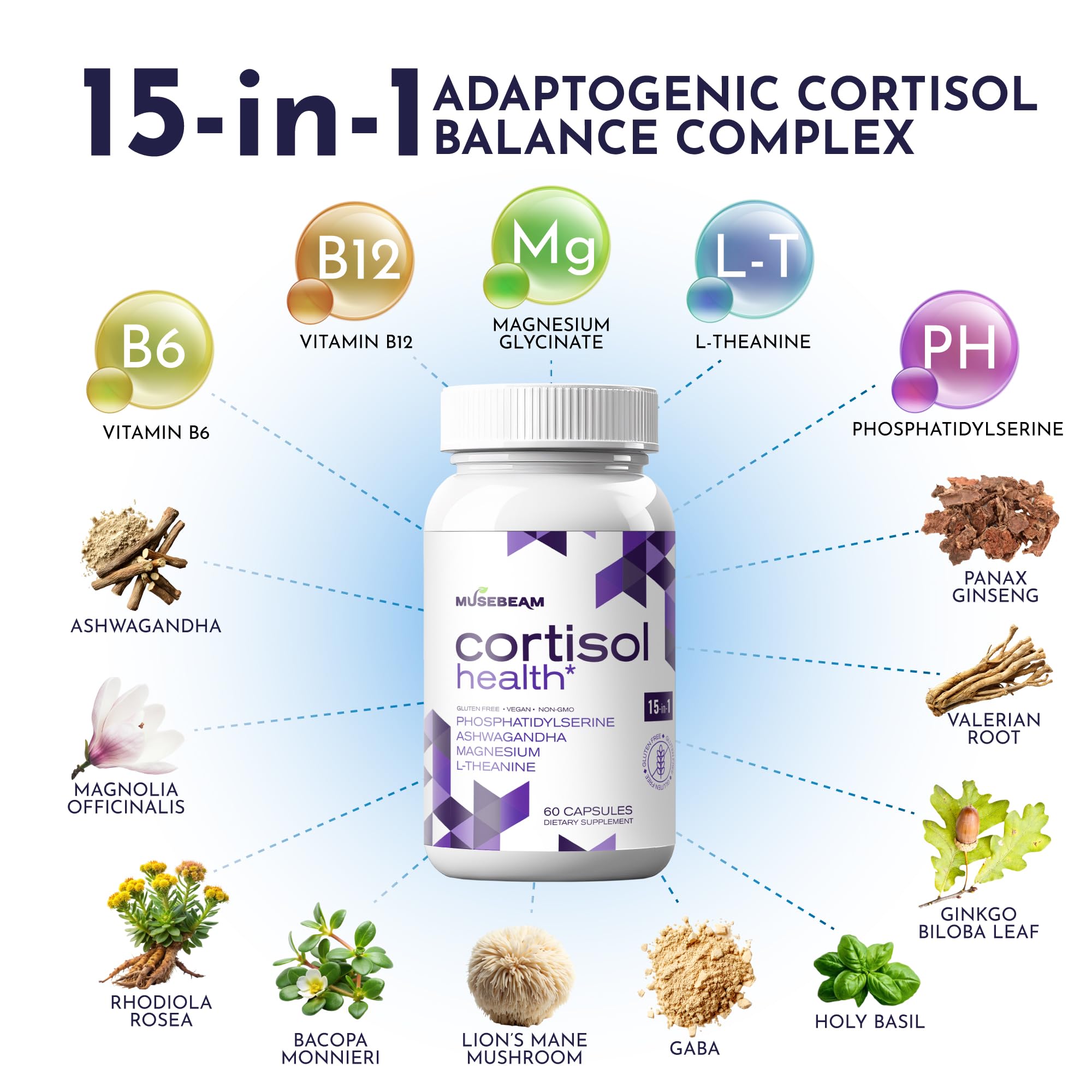 musebeam Cortisol Wellness Formula 60 Capsules back view