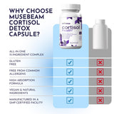musebeam Cortisol Wellness Formula 60 Capsules bottle on a table
