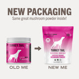 Mushroom Matrix Turkey Tail Mushroom Powder in a natural setting