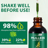 MXCZBSM Mullein Leaf Extract 310g bottle with dropper