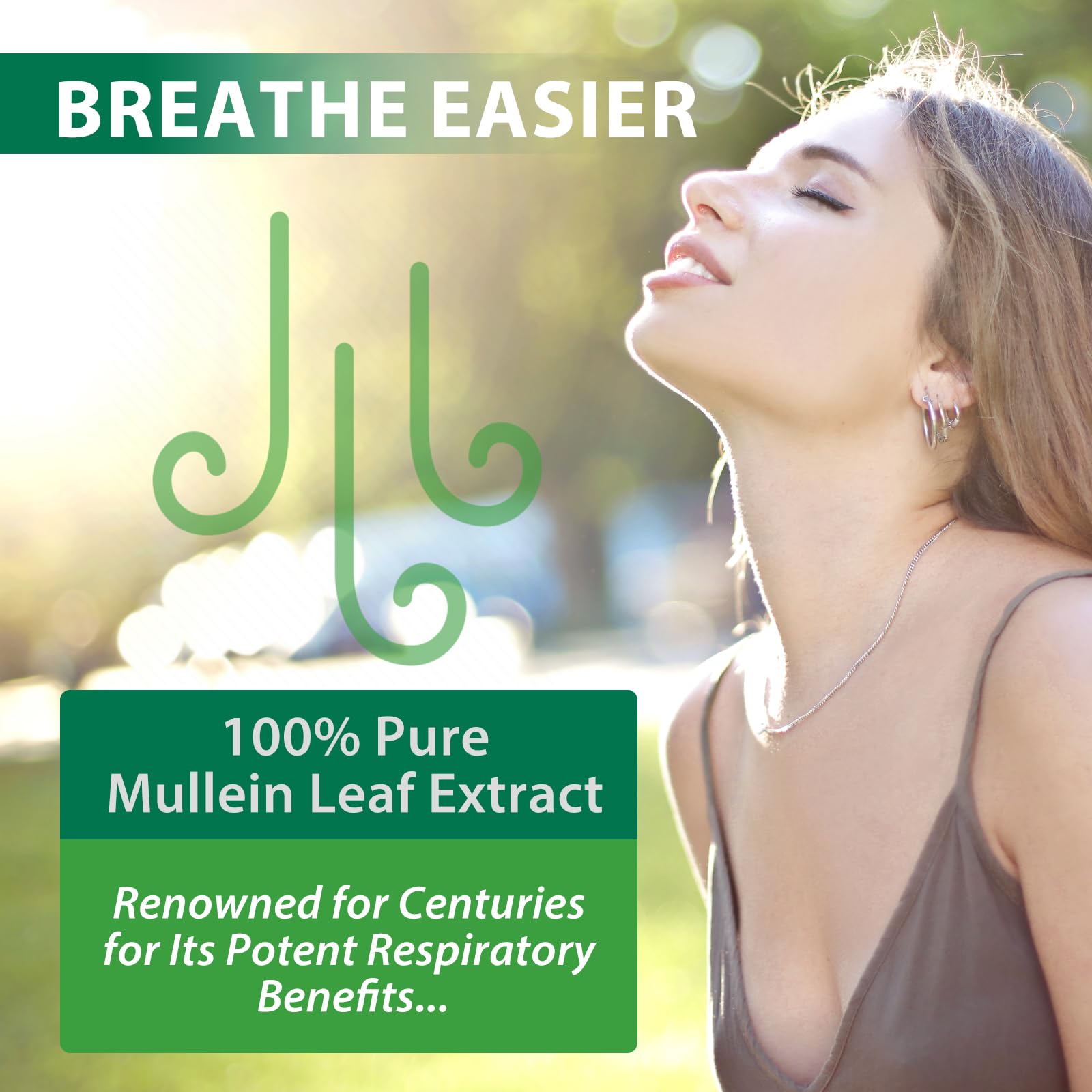 MXCZBSM Mullein Leaf Extract 310g ingredients list