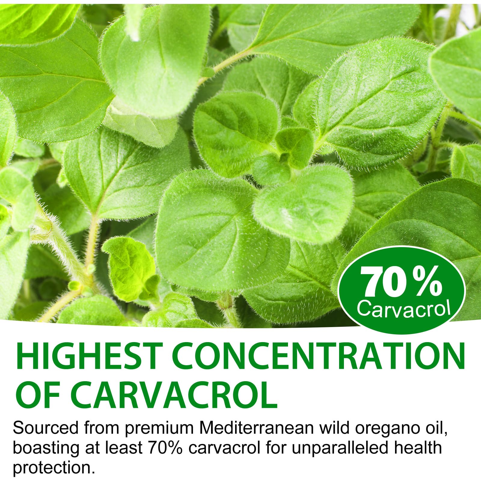 MXCZBSM Oregano Oil Liquid Drops with dropper close-up