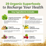 Myers Daily Greens Powder with fresh ingredients