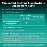 MYOXCIENCE Creatine Powder 535g side view