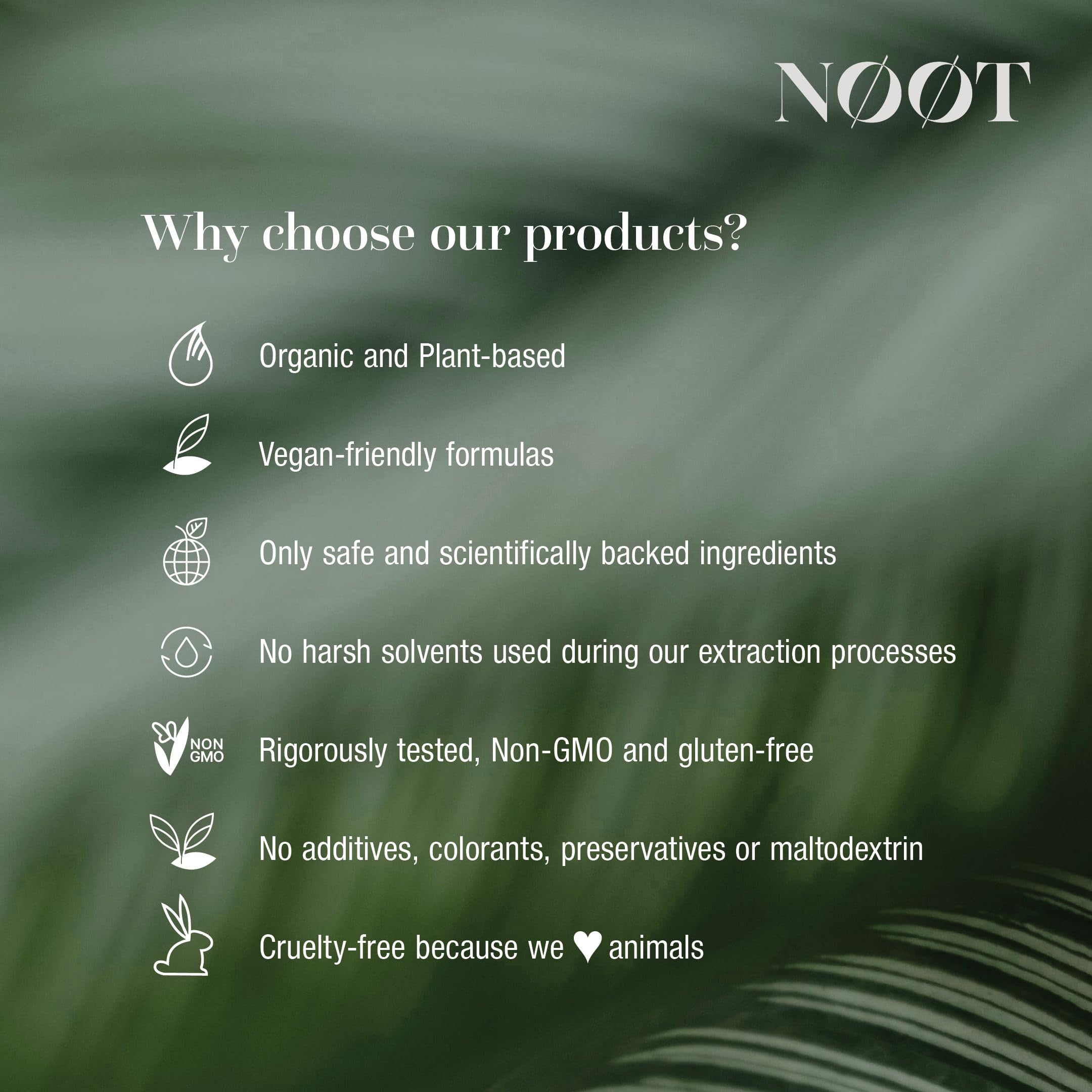NØØT Ginger Root Supplement label detail