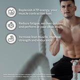 NAKED Creatine Monohydrate Strawberry 499g packaging details