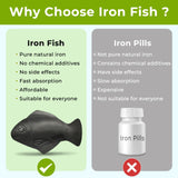 Nano Shield Iron Fish with vegetables